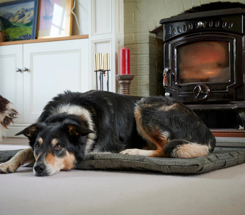 Smart Insulation for Greener Living